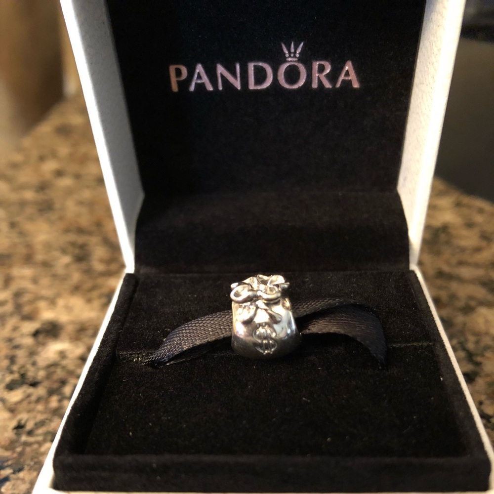 Brand New! In box! Money Bag Charm!!